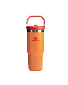 Termo Stanley The IceFlow™ Flip Straw 30 Oz