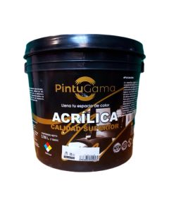 Pintura Acrilíca Pintugama Galón (Negro)