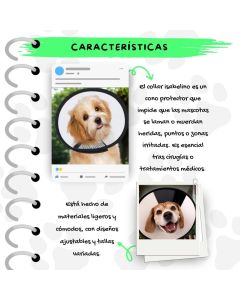 Game proyector 2 en 1