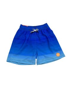 Short Playero Juvenil Hang Ten