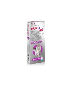 bravecto_gato_plus