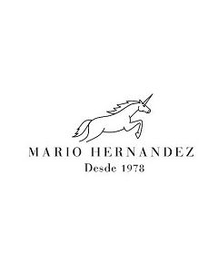 Mh (Mario Hernandez)