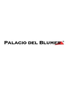Palacio Del Blumer